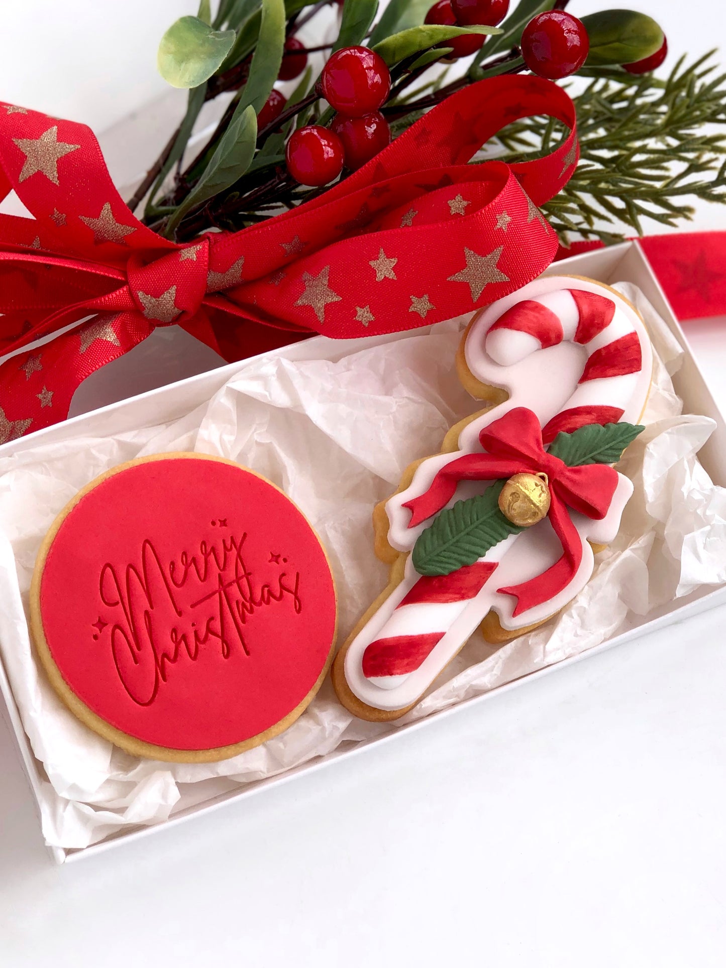 Candy Cane Silicone Mould Kit